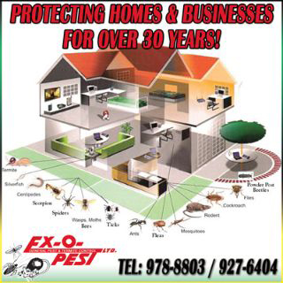 Ex-O-Pest Ltd - Pest Control & Exterminator Services